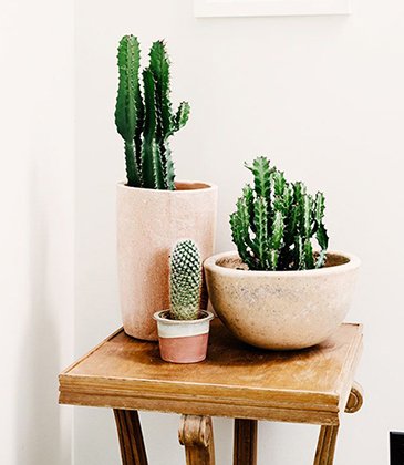 Indoor