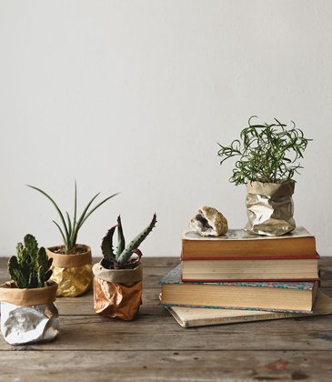 Plant