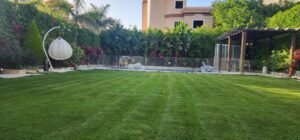 sustainable landscaping solutions.