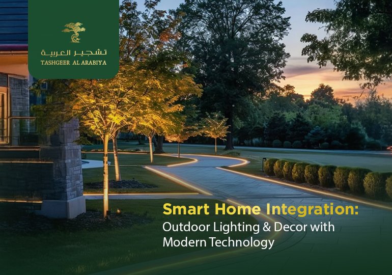 Outdoor Lighting & Decor