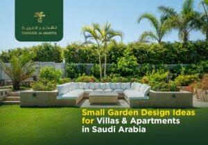 Small Garden Design Ideas