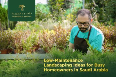 Low-Maintenance Landscaping Ideas for Busy Homeowners in Saudi Arabia