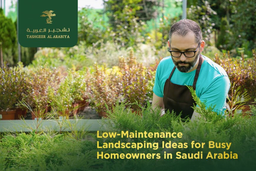 Low-Maintenance Landscaping Ideas for Busy Homeowners in Saudi Arabia